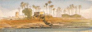 Tosk by Edward Lear